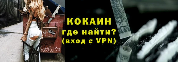 шишки Семёнов
