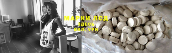 ПСИЛОЦИБИНОВЫЕ ГРИБЫ Алексин